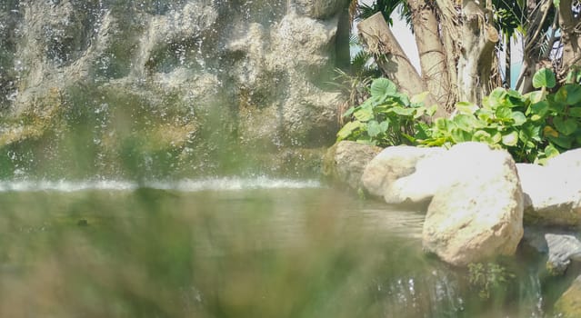 cascade watefall & pond plant tree in garden park