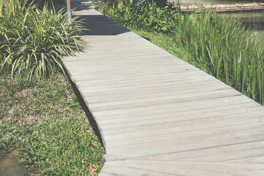 green plant leaves decorating beside wooden walkway in garden park