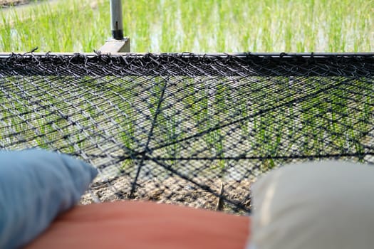 black thread rope net bed pillow for sleeping beside rice paddy field