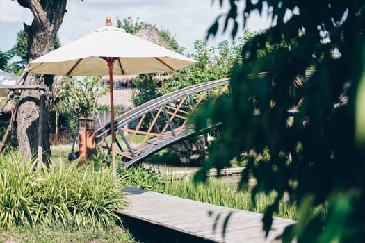 green plant leaves decorating beside wooden walkway in garden park
