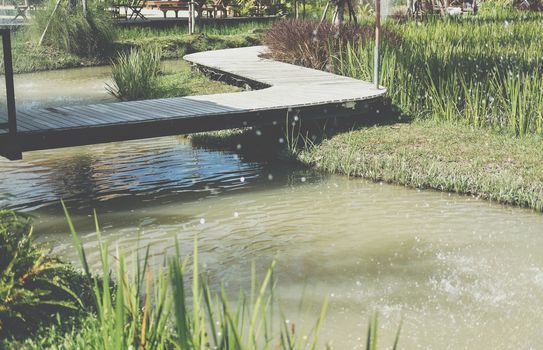 wooden bridge across pond lake in garden