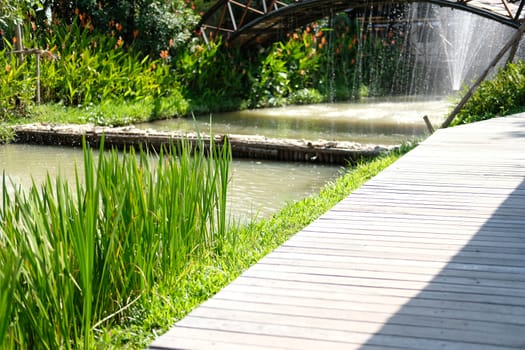 green plant leaves decorating beside wooden walkway in garden park