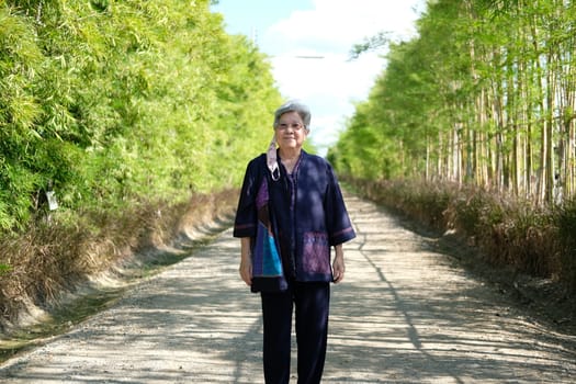 asian elderly woman elder  resting relaxing outdoors. senior leisure lifestyle