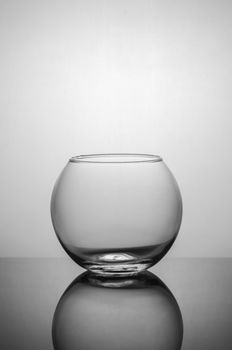 Transparent vase on a dark background with back light.