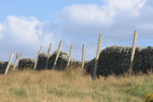 Field of long grass bordered by dark dry stone wall and wire fence with wooden posts. Gentle summers evening sun lights the image, and blue sky behind