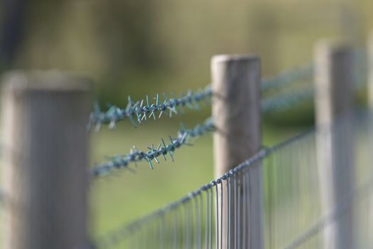 Smooth warm background behind two rows of sharp barbed wire fence. Modern and new fence in a rural setting with wooden fence posts. outdoor boundary