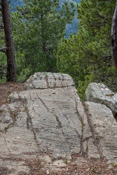 Canillo, Andorra : 2 MAY 2020 : Sunny day in the roc de les Bruixes is a set of prehistoric rock engravings from the Bronze Age in Prats, Canillo, Andorra.