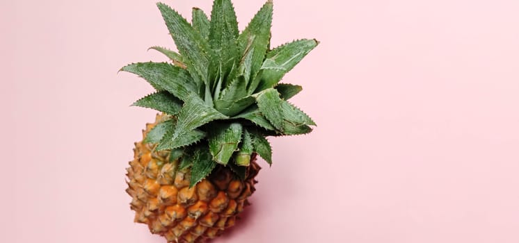 tasty and healthy orange colored pineapple closeup on pink colored background