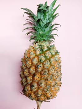 tasty and healthy orange colored pineapple closeup on pink colored background