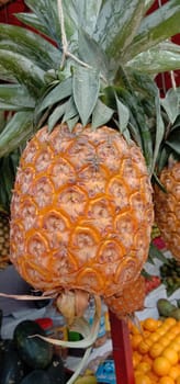 tasty and healthy orange colored pineapple stock on market