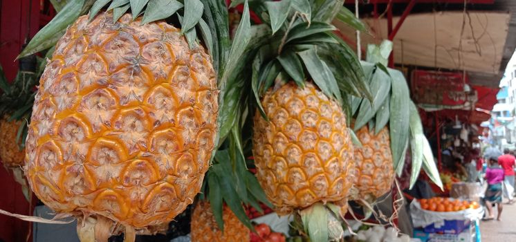 tasty and healthy orange colored pineapple stock on market