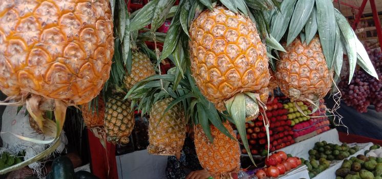 tasty and healthy orange colored pineapple stock on market