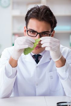 Biotechnology scientist chemist working in lab