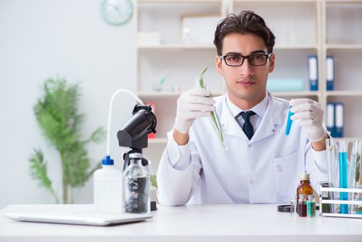 Biotechnology scientist chemist working in lab