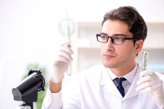 Biotechnology scientist chemist working in lab