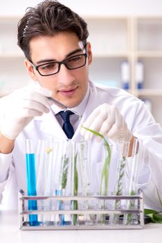 Biotechnology scientist chemist working in lab