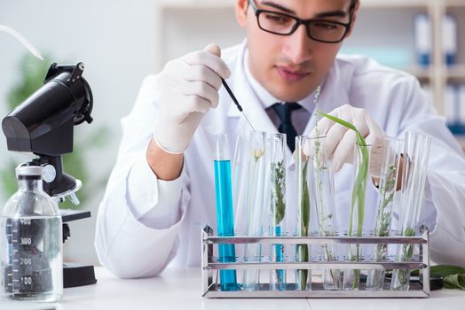 Biotechnology scientist chemist working in lab