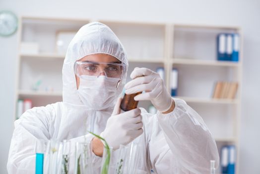 Biotechnology scientist chemist working in lab