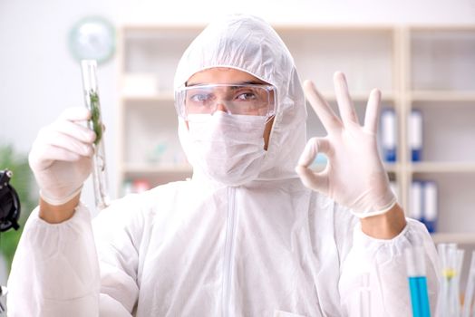 Biotechnology scientist chemist working in lab