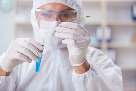 Biotechnology scientist chemist working in lab