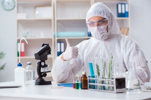 Biotechnology scientist chemist working in lab