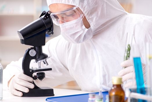 Biotechnology scientist chemist working in lab