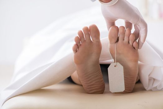 Police coroner examining dead body corpse in morgue