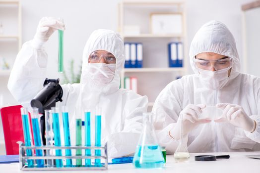 Two chemists working in the lab