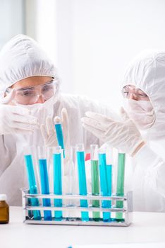 Two chemists working in the lab