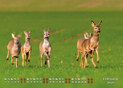 a calendar sheet for 2021 with wild living animal