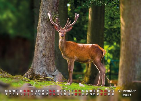 a calendar sheet for 2021 with wild living animal