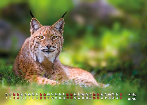 a calendar sheet for 2021 with wild living animal