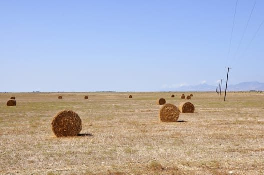 Hay bales on the field after harvest, in the middle of Cyprus