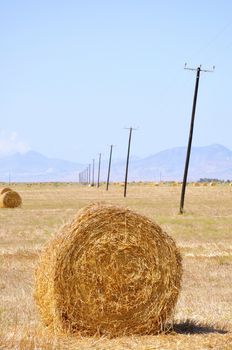 Hay bales on the field after harvest, in the middle of Cyprus