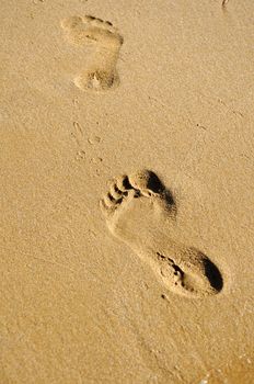 Footprints on sand beach in the morning during summer vacation in Cyprus