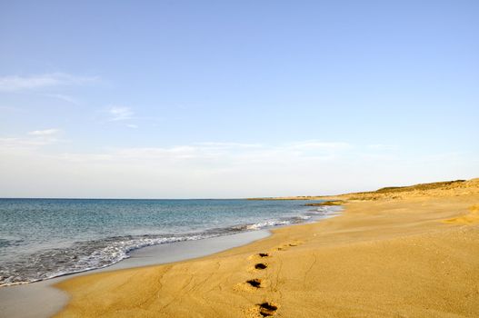 Footprints on sand beach in the morning during summer vacation in Cyprus