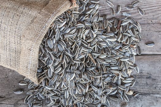 bag with variety of sunflower seeds on rustic wooden background