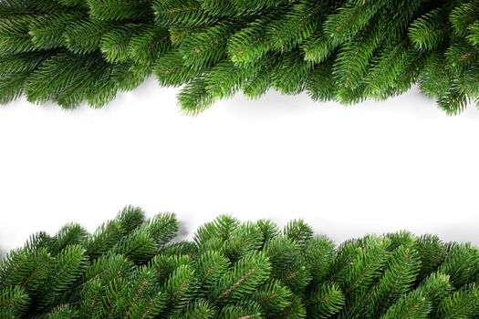 Natural fir Christmas tree border frame isolated on white , copy space for text
