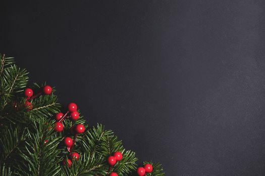 Fir Christmas tree branches and holly berries on black paper background flat lay top view mock-up