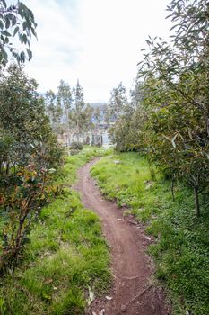 The popular Lake Mountain bike park with Cascades Trail near Marysville in Victoria, Australia