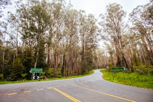 The road and entry to Lake Mountain resort during summer in Victoria, Australia