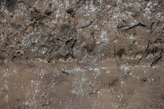 Mud background. Texture of mud. Wet dirt. Puddle.