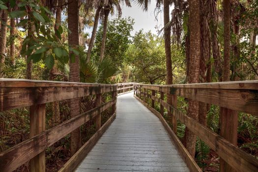 Fort Myers, Florida, USA – November 1, 2020:  Boardwalk that extends through Manatee Park in Fort Myers, Florida.