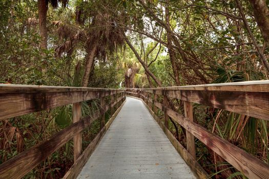 Fort Myers, Florida, USA – November 1, 2020:  Boardwalk that extends through Manatee Park in Fort Myers, Florida.