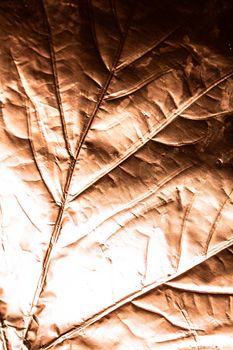 A gold Holographic Foil Leaf and Leaves with Veins Texture Shiny Pattern