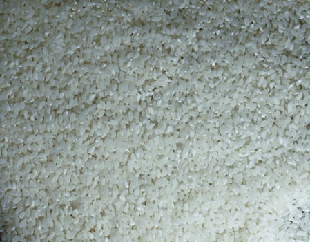 White round grain close up rice full frame background. Indian Japanese Chinese cuisine ingredients