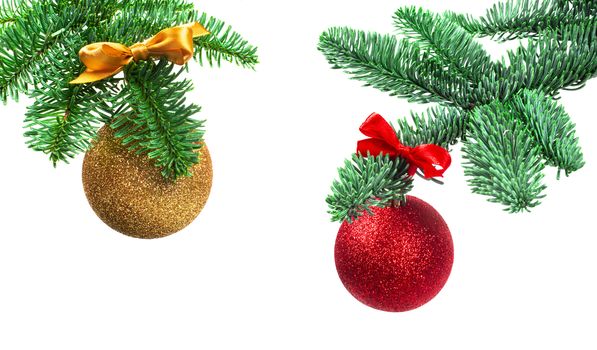 Christmas evergreen spruce noble fir tree golden and red glitter glass bauble ball isolated on white background