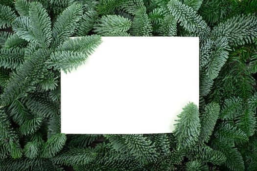 Christmas frame of natural fir tree branches with copy space for text isolated on white background of greeting card holiday celebration invitation