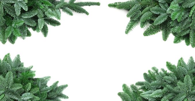 Traditional green christmas tree noble fir border frame isolated on white background copy space for text