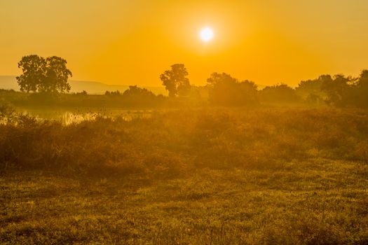 Sunrise view over wetland, in En Afek nature reserve, northern Israel